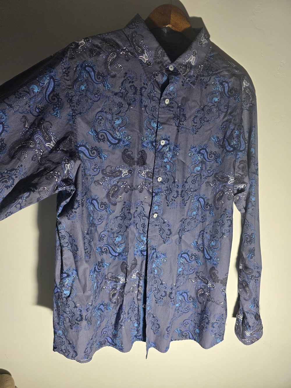 Daniel Cremieux Blue Paisley Long-Sleeve Button-Down Shirt
